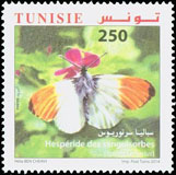 Timbre: Papillons de Tunisie : Spalia Sertorius